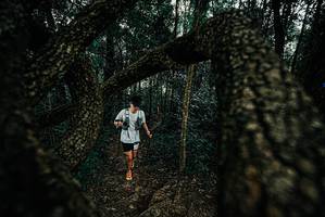 BIB: 
                            <button type="button" onclick="openModal(25676825)" class="btn btn-primary btn-sm float-right btn-popup" data-toggle="modal" data-target=".modal-high-quality">
                        <i class="fas fa-shopping-cart"></i> Add to Cart
                    </button>
                                            <button type="button" onclick="isThisMe(25676825, true)" class="btn btn-success btn-sm float-right btn-popup btn-isme hidden" data-toggle="tooltip" data-placement="bottom" title="นี่คือรูปของคุณใช่ไหม คลิกที่นี่เพื่อเอาเข้าอัลบั้ม">
                        <i class="fas fa-plus"></i> Add to album
                    </button>
                    <button type="button" onclick="isThisMe(25676825, false)" class="btn btn-warning btn-sm float-right btn-popup btn-isnotme hidden">
                        <i class="fas fa-ban"></i> Remove from album
                    </button>